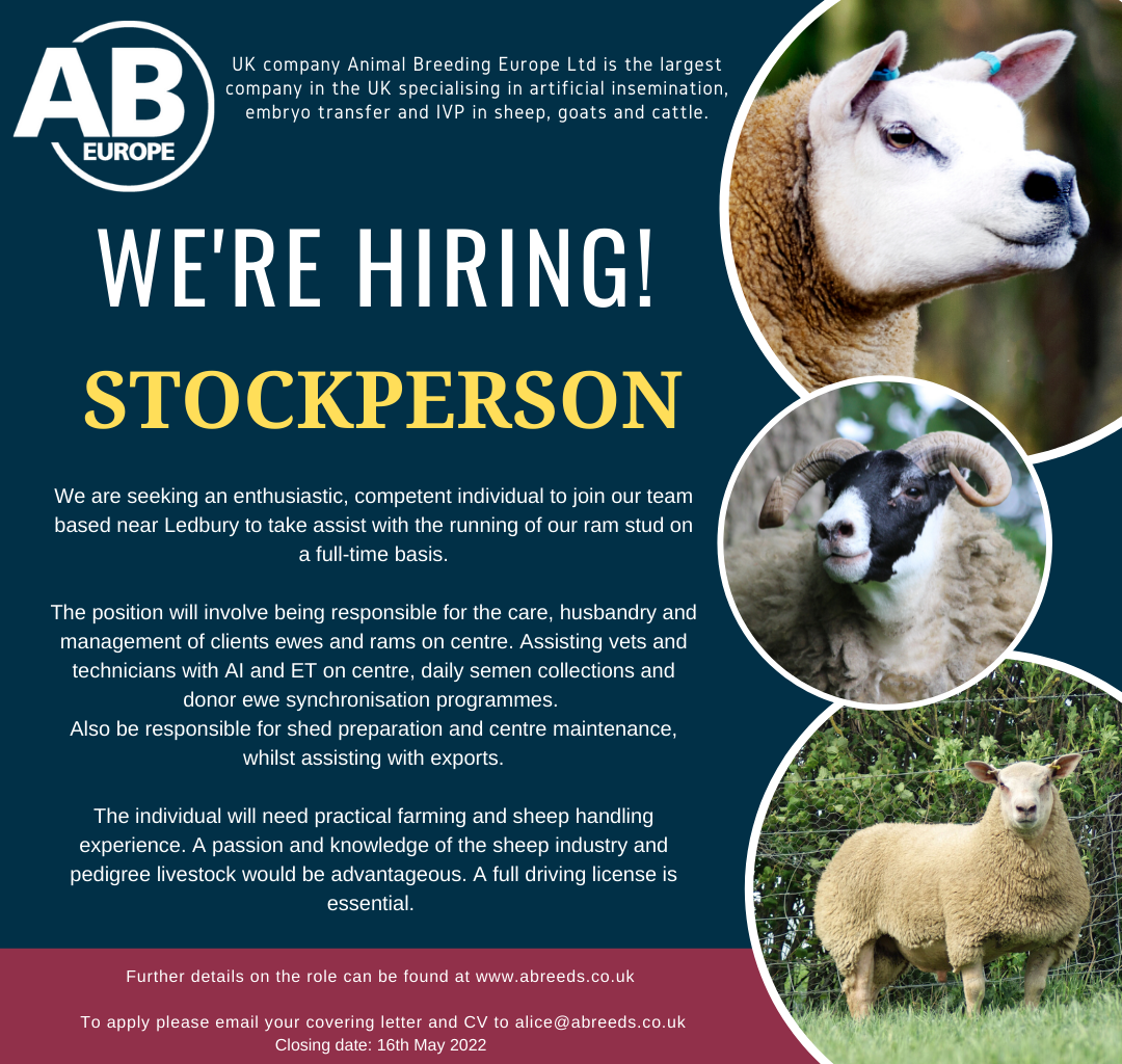 stock job malvern (1)