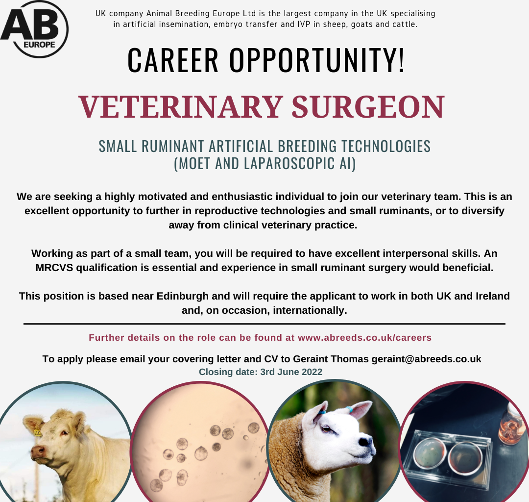 vet edin job