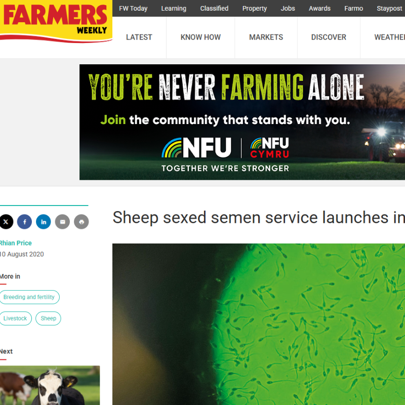 Farmers Weekly Sheep Sexed Semen service