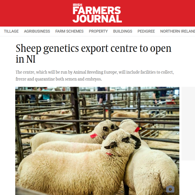 Irish Farmers Journal - Sheep Genetic Export Centre