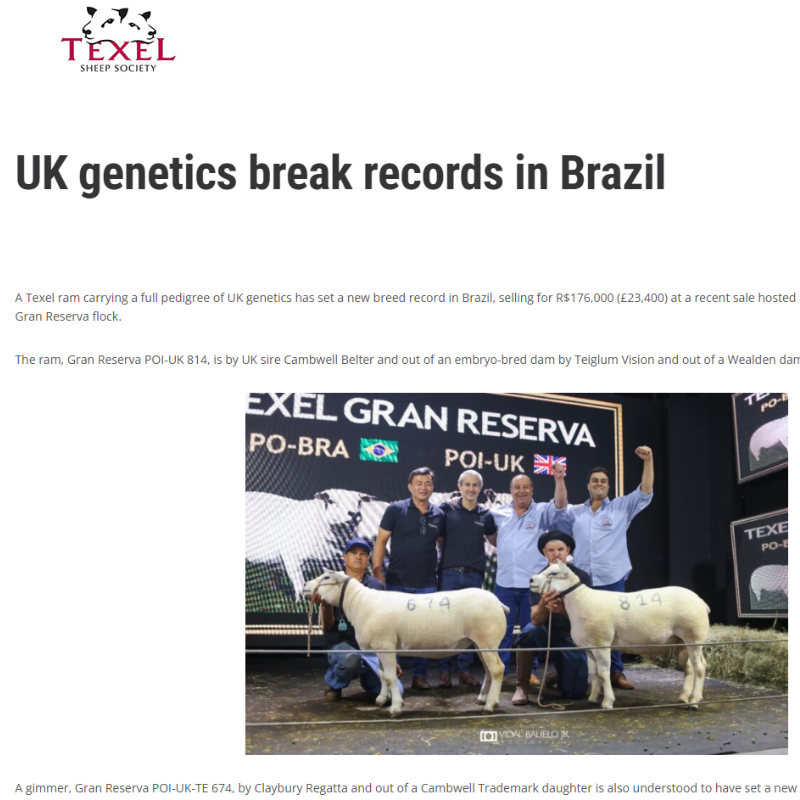 Texel Sheep Society - UK Genetics in Brazil