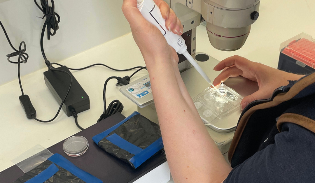 Person working with a pipette in a labratory